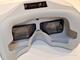 DJI Goggles
