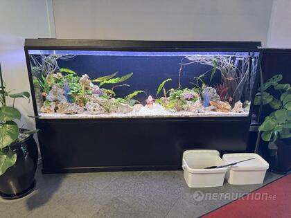 Stort akvarium med tillbehör, 585L