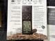 GPS 12 Garmin