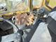 Dieseltruck TCM FD 30 -83