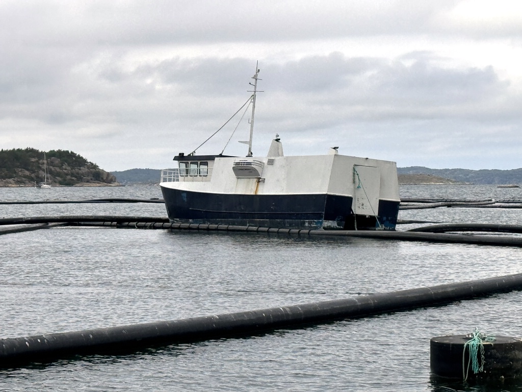 Katamaranfartyg med kylaggregat 12m