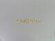 Zodiac Halsband i silver, 22st