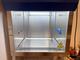 Biological Safety Cabinet  (4)