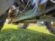 Traktor John Deere 6200 -96  (AWT667)