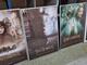 Filmposters, Sagan om ringen