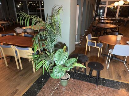 Växter och bord Växter och bord