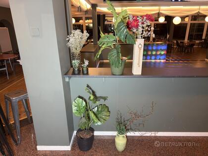 Plastväxter Plastväxter