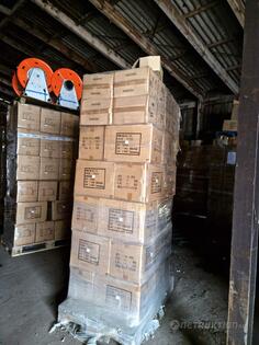 Parti med amplar & spiralgranar Parti med amplar & spiralgranar