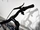 Elcykel Batavus Razer, dam