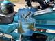 Honda Gold Wing GL1500 SE (FGE908) -93 Honda Gold Wing GL1500 SE (FGE908) -93