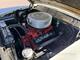 Ford Fairlane Town Sedan -56 + SMV husvagn