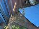 Container 20fot Container 20fot