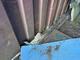 Container 20fot Container 20fot