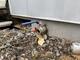 20 fots bostadscontainer  (1)