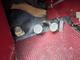 Austin A40 -54 (EOH624) Austin A40 -54 (EOH624)