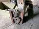 Trumlare