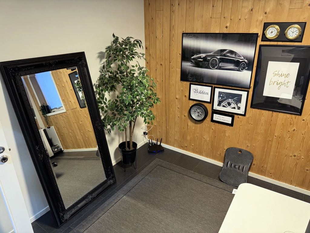 Spegel, konstväxt och tavlor